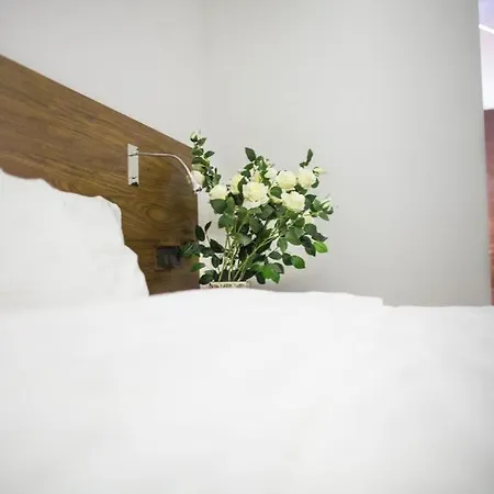 Madeira Loft I - Center Lejlighed