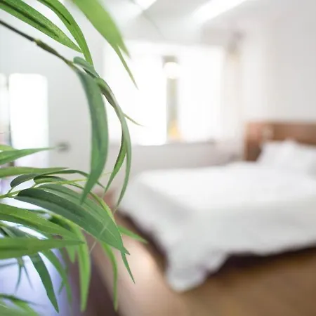 Madeira Loft I - Center