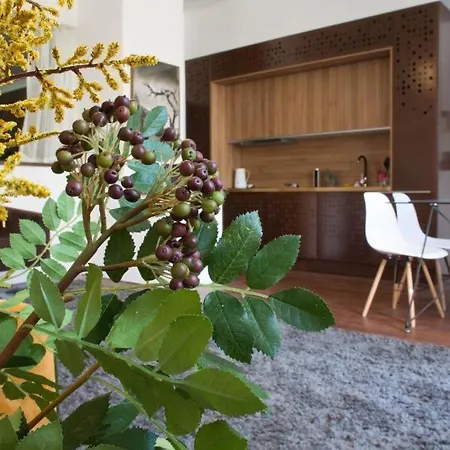 Madeira Loft I - Center * Фуншал