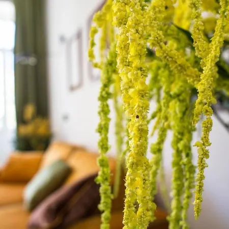 Апартаменты Madeira Loft I - Center *